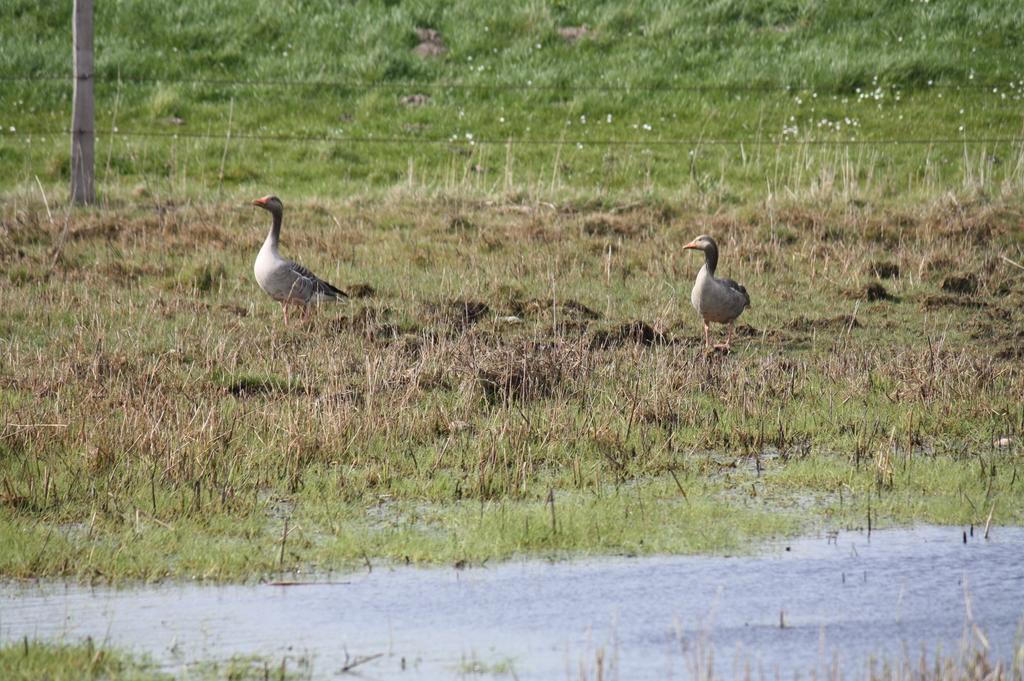 Reethus Stöfs Lägenhet Behrensdorf Exteriör bild