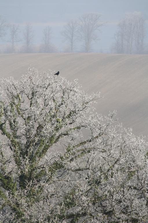 Reethus Stöfs Lägenhet Behrensdorf Exteriör bild